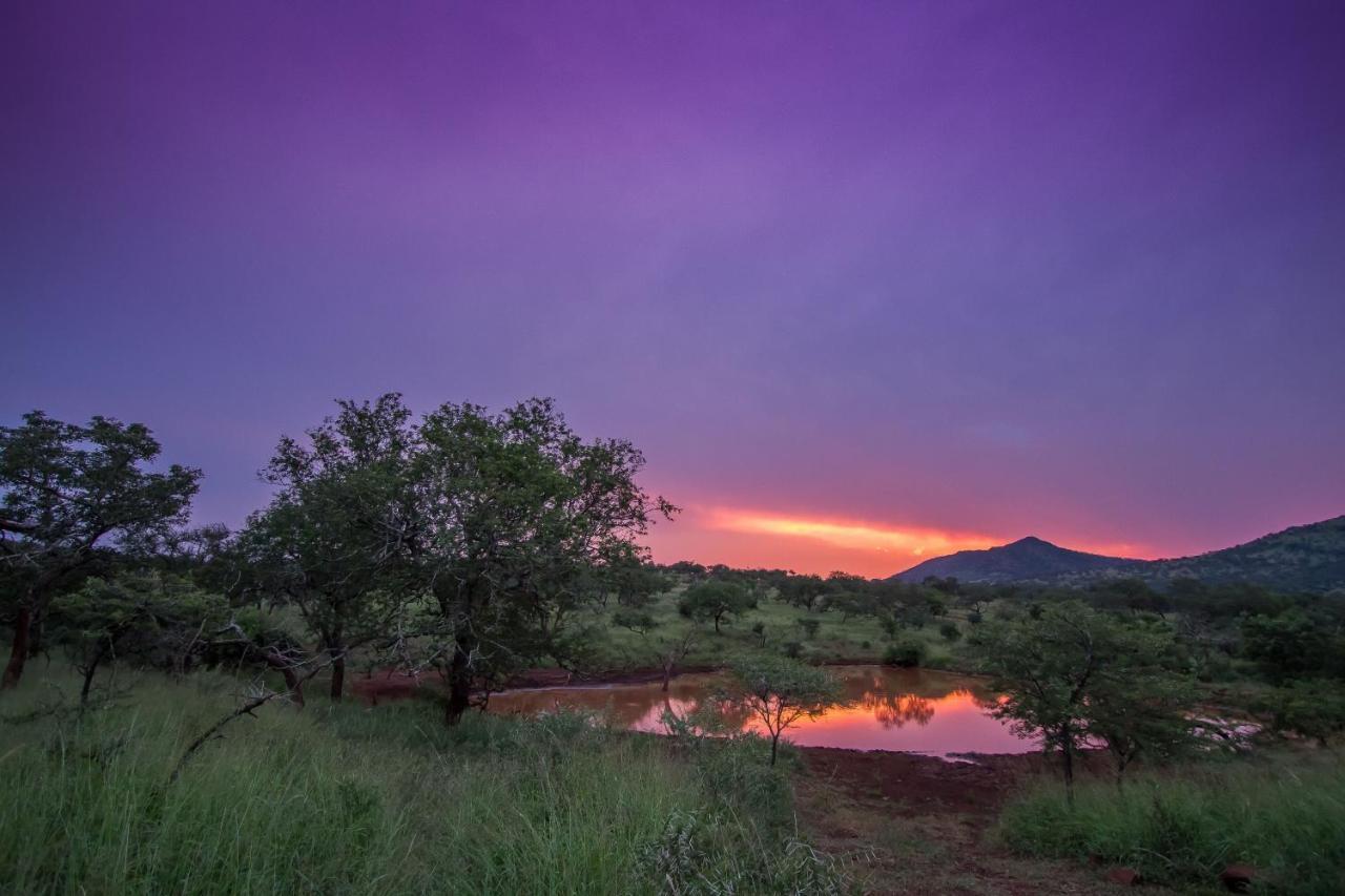 豹山野外旅行小屋 Manyoni Private Game Reserve 外观 照片
