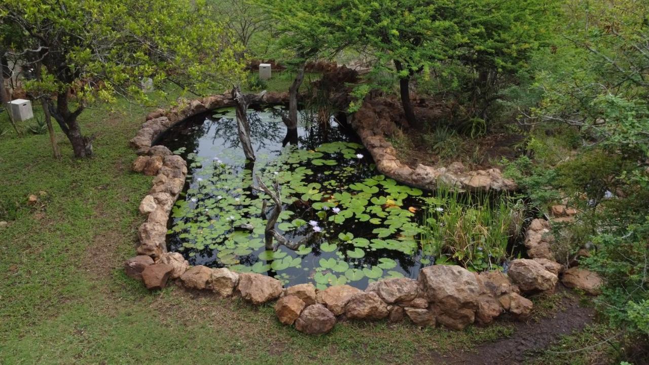 豹山野外旅行小屋 Manyoni Private Game Reserve 外观 照片