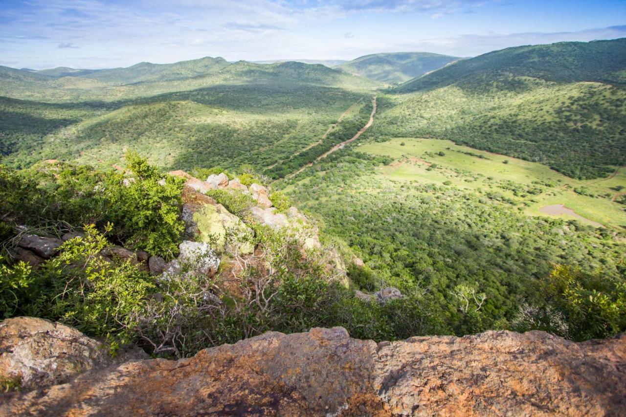 豹山野外旅行小屋 Manyoni Private Game Reserve 外观 照片