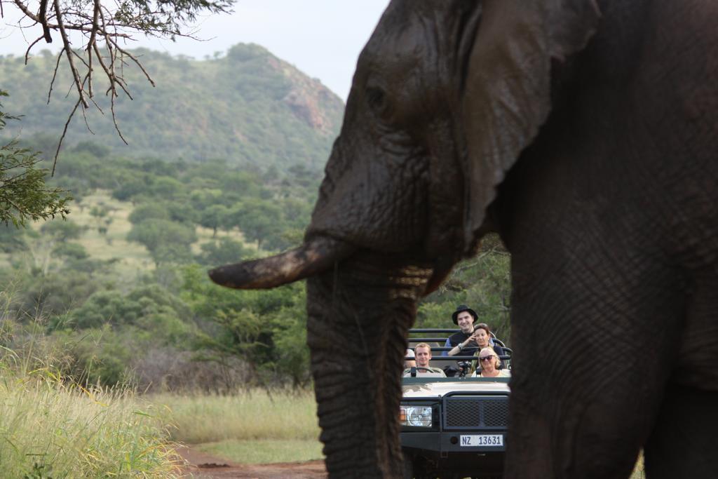 豹山野外旅行小屋 Manyoni Private Game Reserve 外观 照片