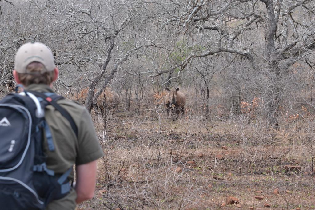 豹山野外旅行小屋 Manyoni Private Game Reserve 外观 照片