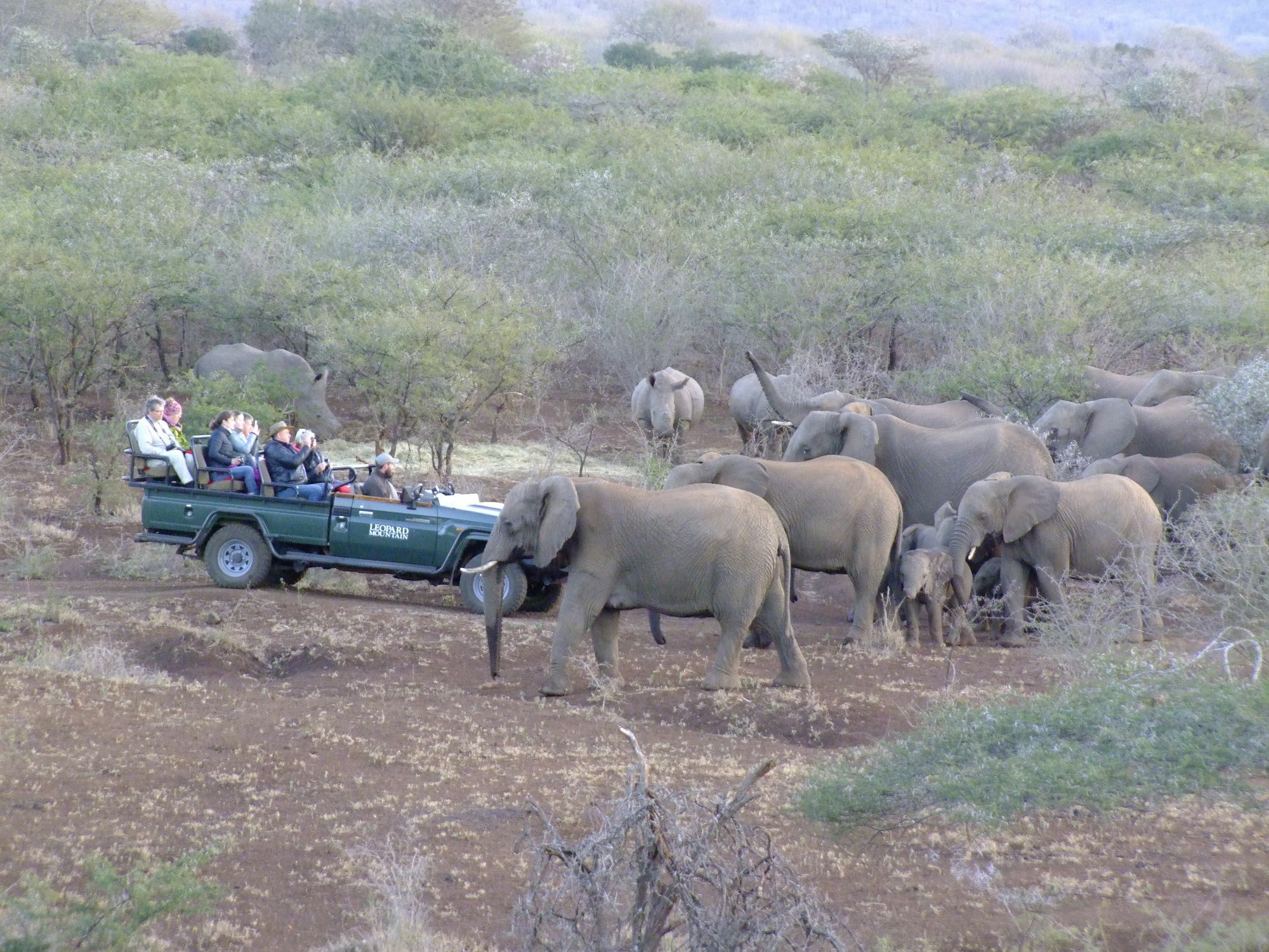 豹山野外旅行小屋 Manyoni Private Game Reserve 外观 照片